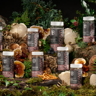 Leading the Shroom Boom: Our NEW Functional Mushroom Range