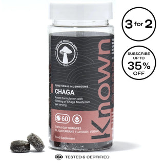 Chaga Mushroom Vegan Gummies